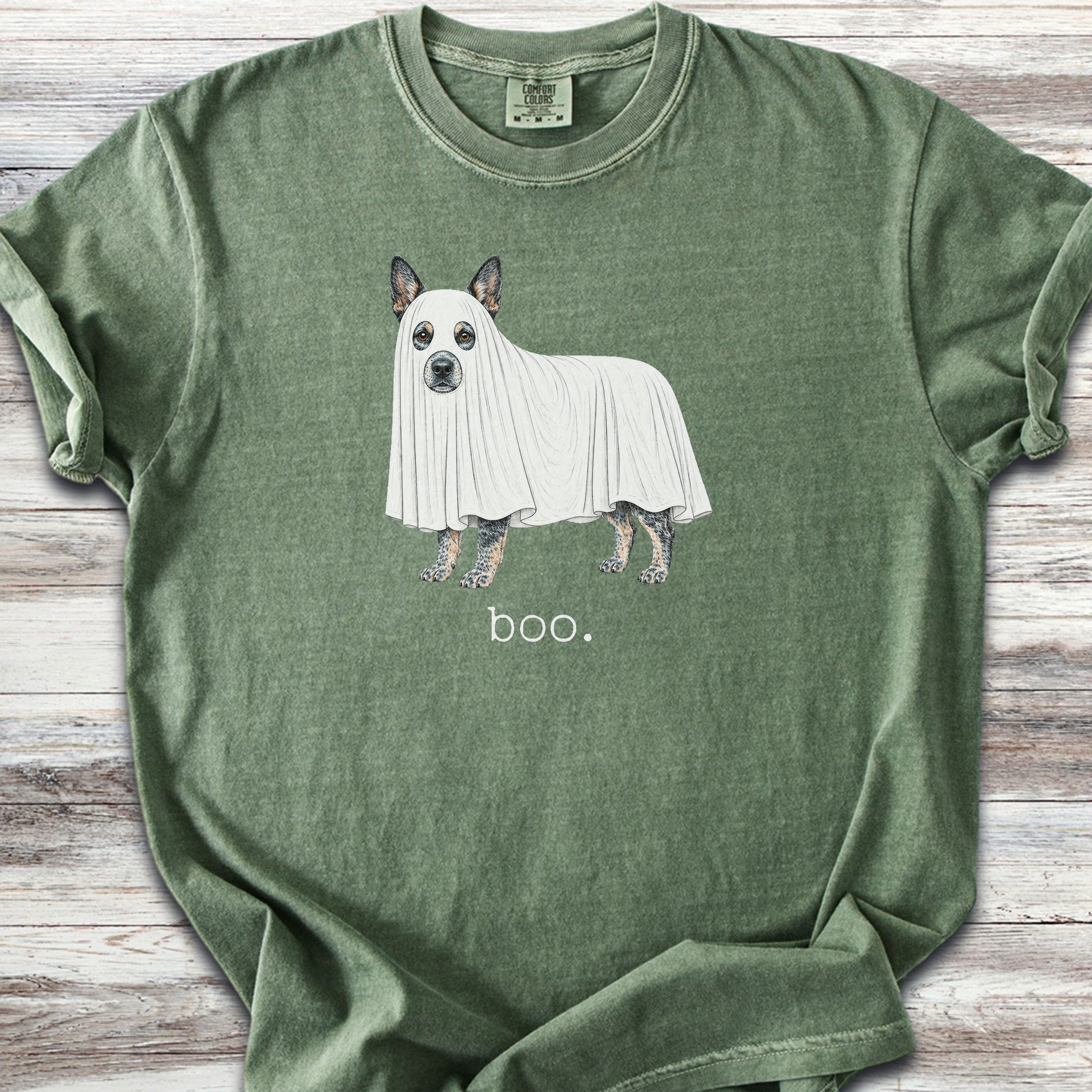 Australian Cattle Dog Boo - Moss
