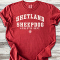 Shetland Sheepdog Athletic Dept - Red