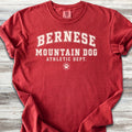 Bernese Mountain Dog Athletic Dept - Red