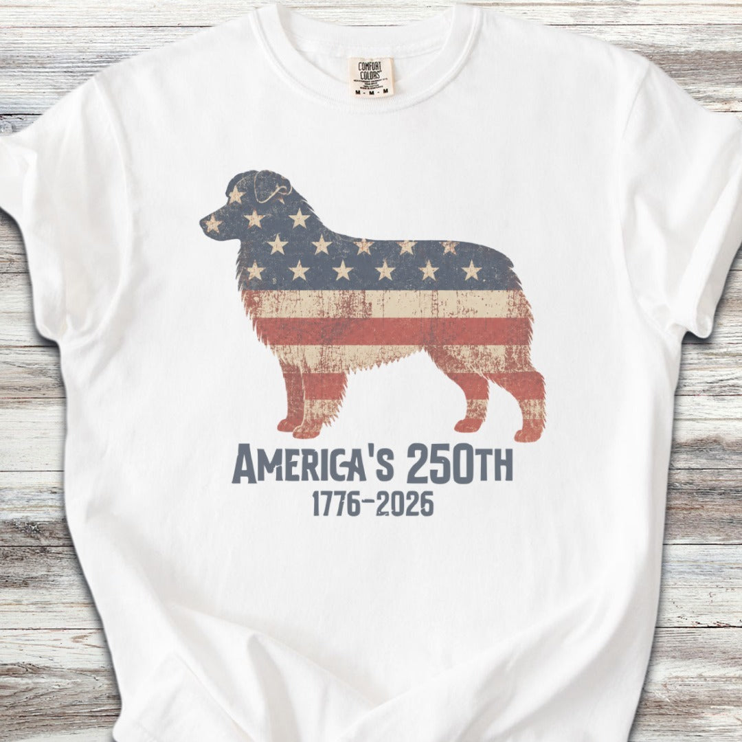 Australian Shepherd 250 - White