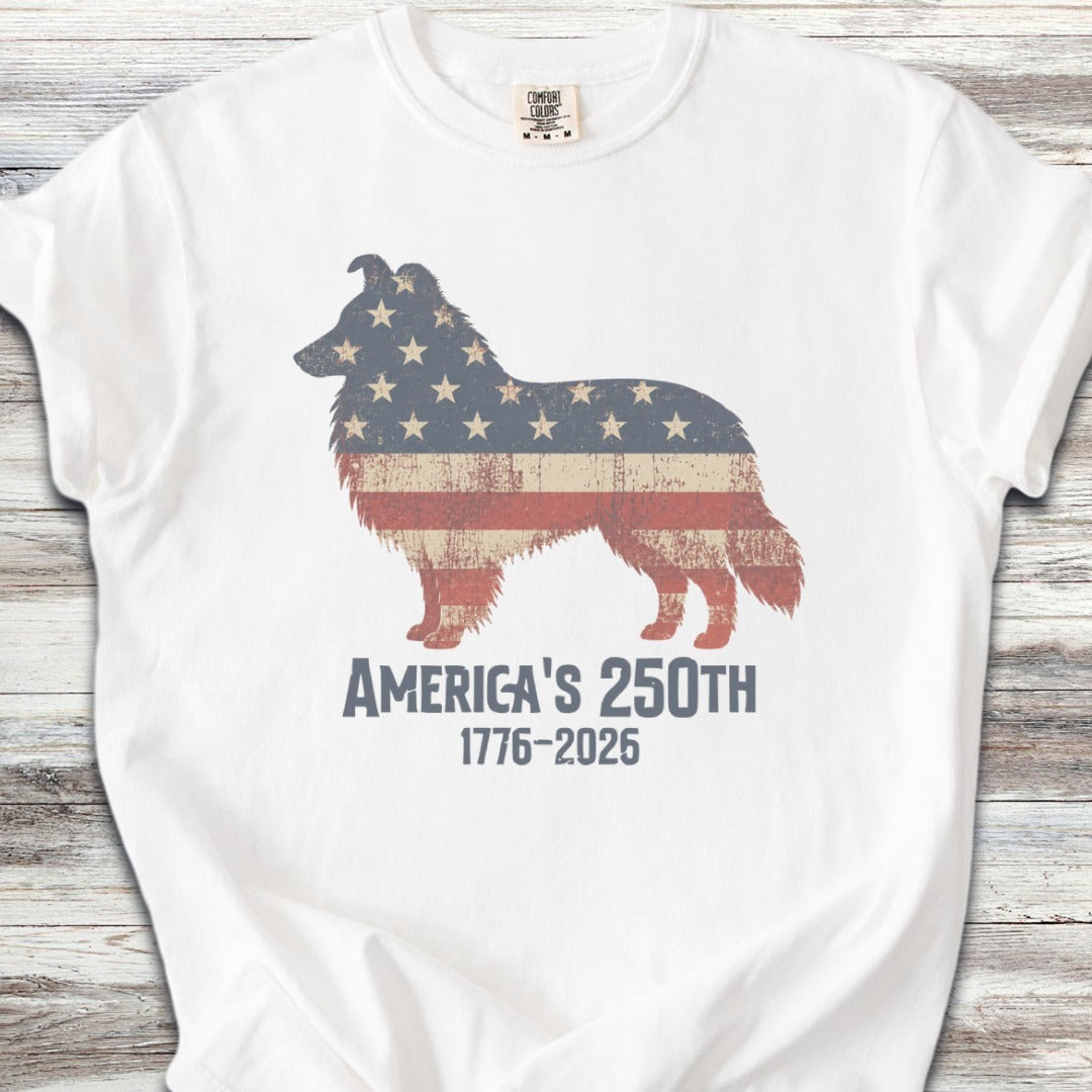 Shetland Sheepdog 250 - White