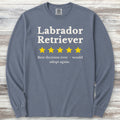 Labrador Retriever Review Long Sleeve Tee - Blue Jean