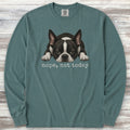 Boston Terrier Nope Long Sleeve Tee - Blue Spruce