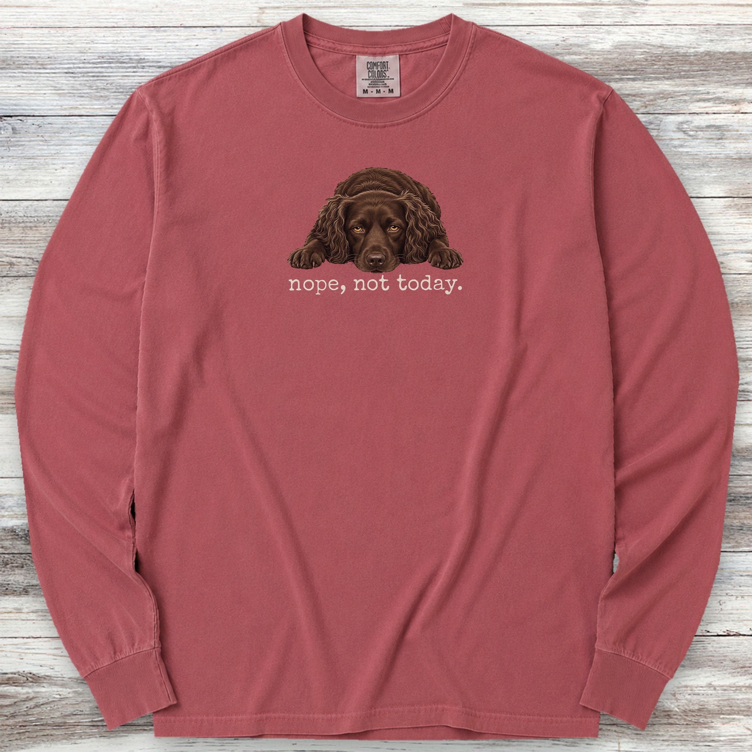 Boykin Spaniel Nope Long Sleeve Tee - Brick