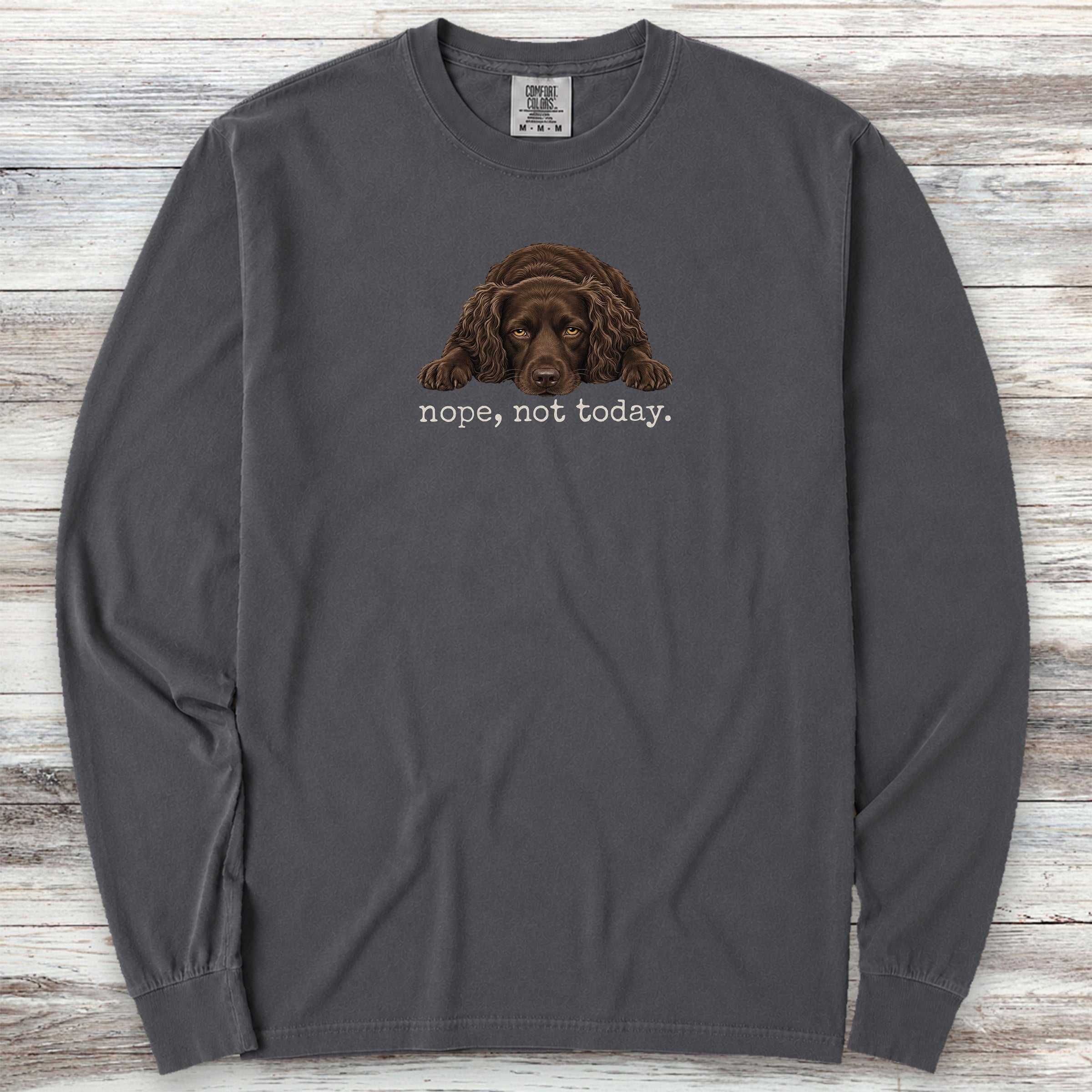 Boykin Spaniel Nope Long Sleeve Tee - Graphite
