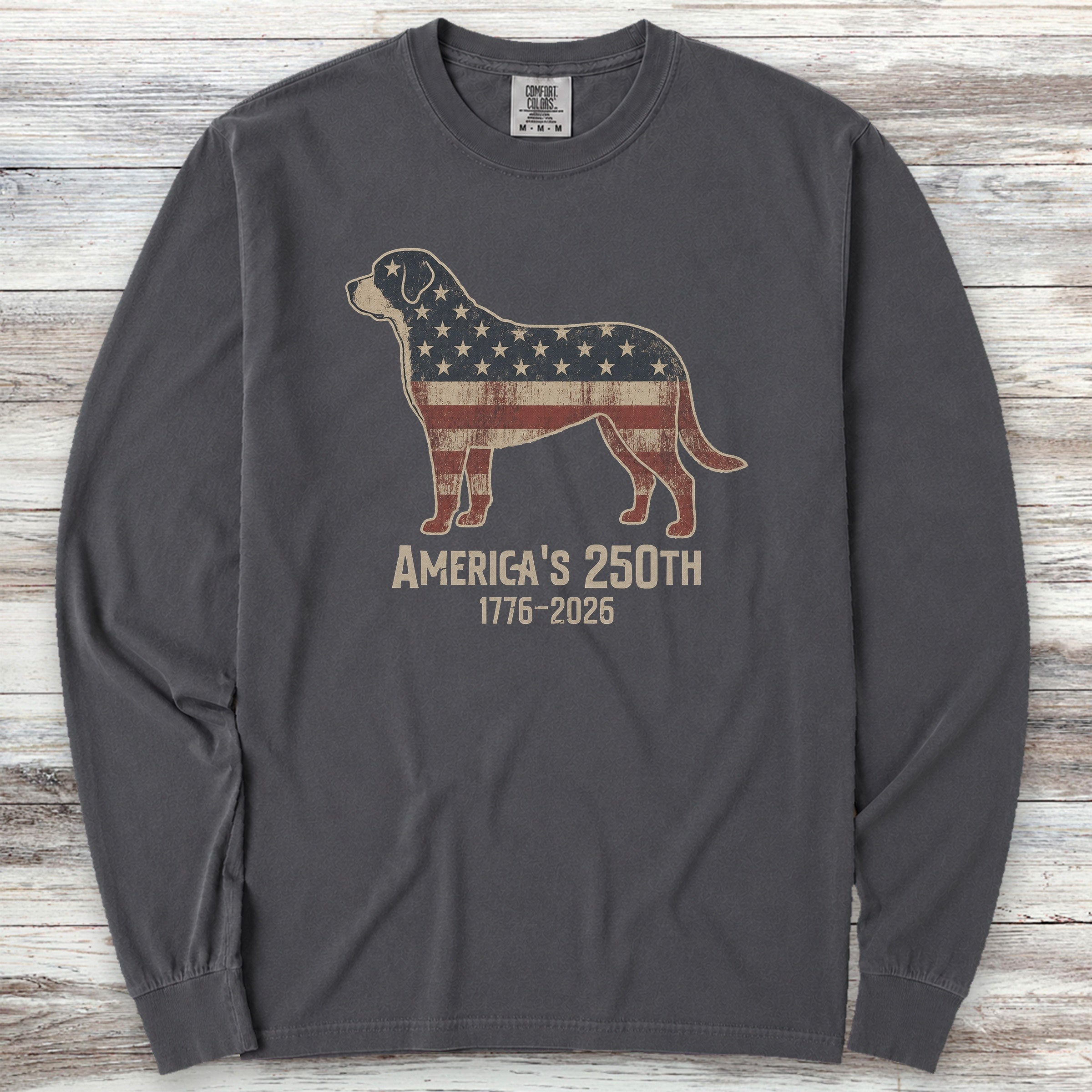 Swiss Mountain Dog 250 Long Sleeve Tee - Graphite