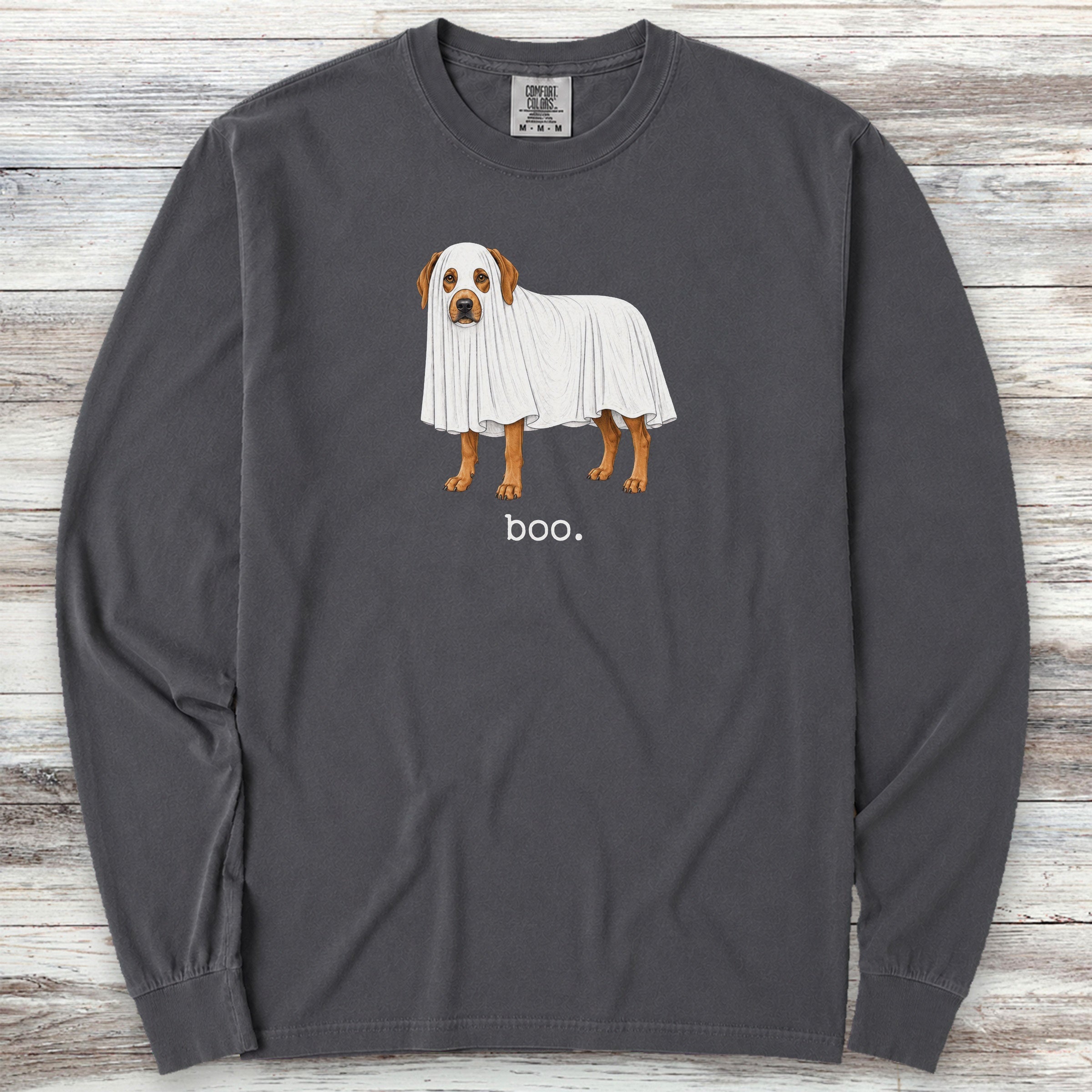 Rhodesian Ridgeback Boo Long Sleeve Tee - Graphite