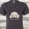 Great Pyrenees Nope V-Neck Tee - Dark Grey Heather