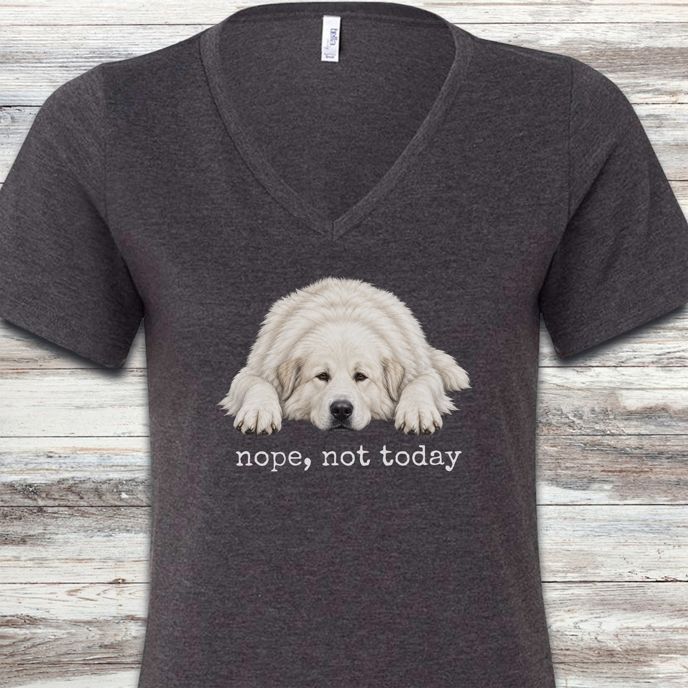 Great Pyrenees Nope V-Neck Tee - Dark Grey Heather