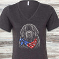 Newfoundland Patriot V-Neck Tee - Dark Grey Heather