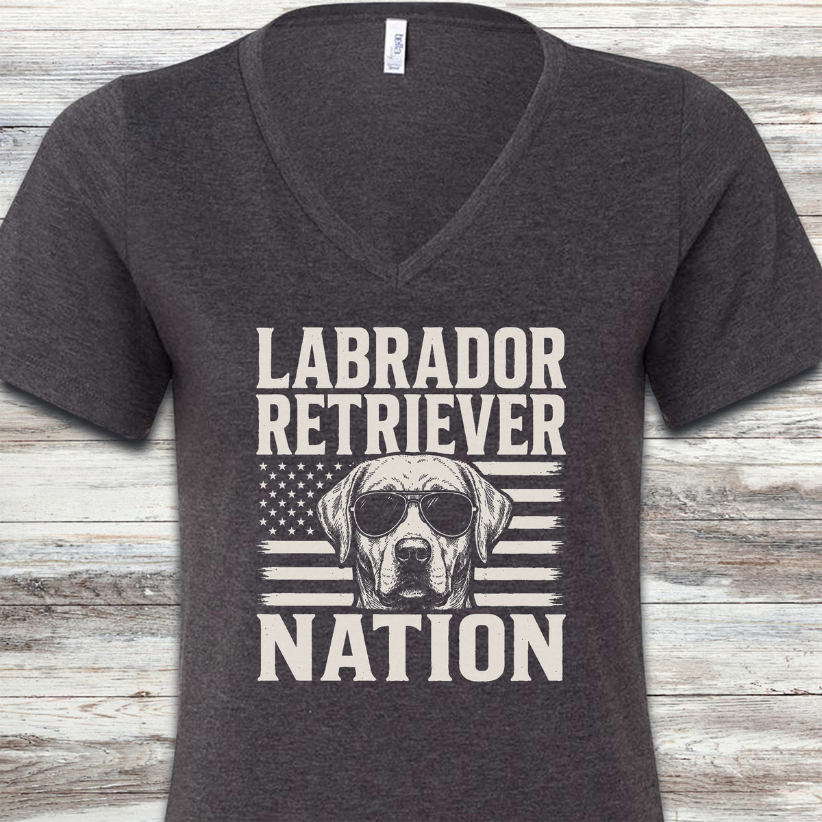 Labrador Retriever Nation V-Neck Tee - Dark Grey Heather