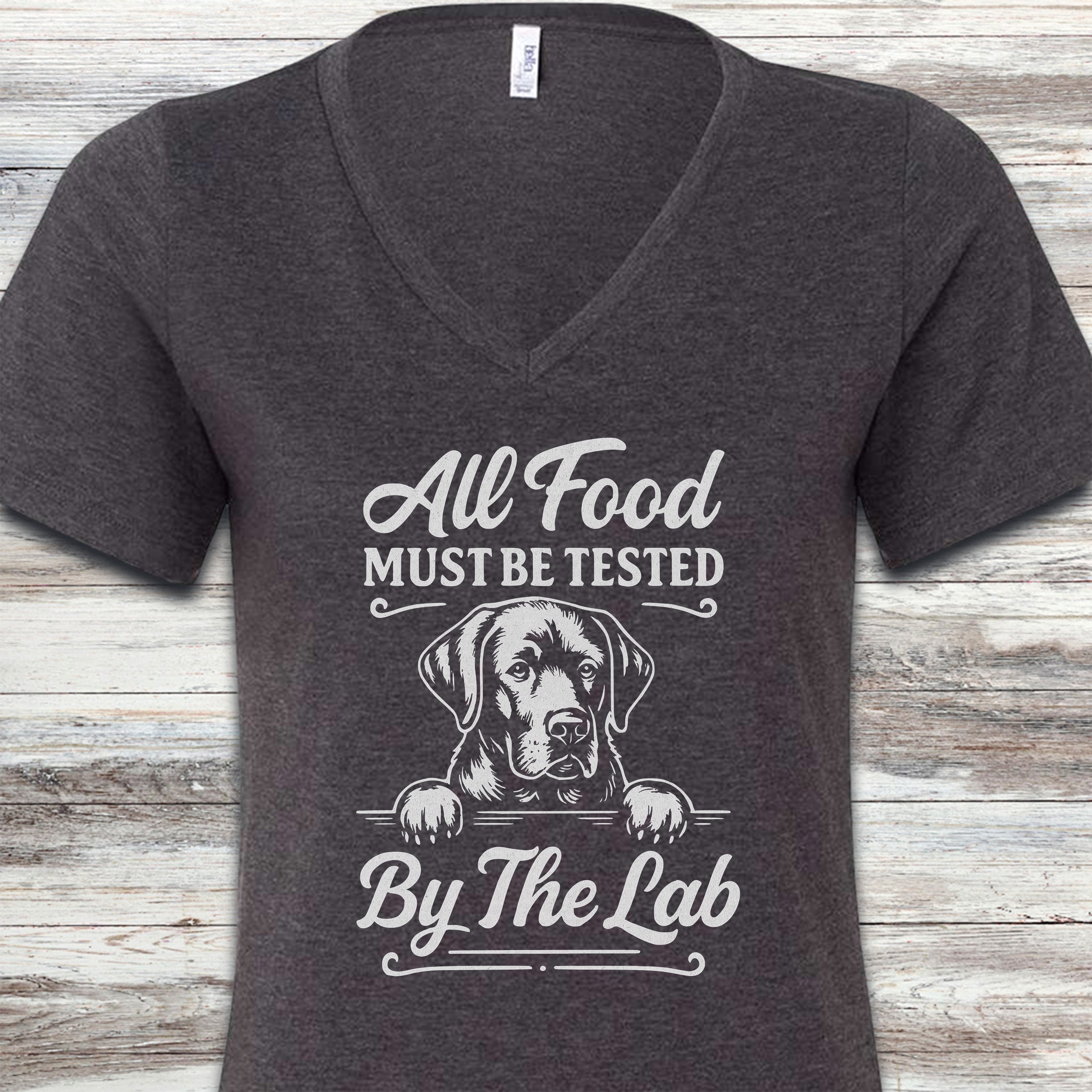 Labrador Retriever Food Test V-Neck Tee - Dark Grey Heather