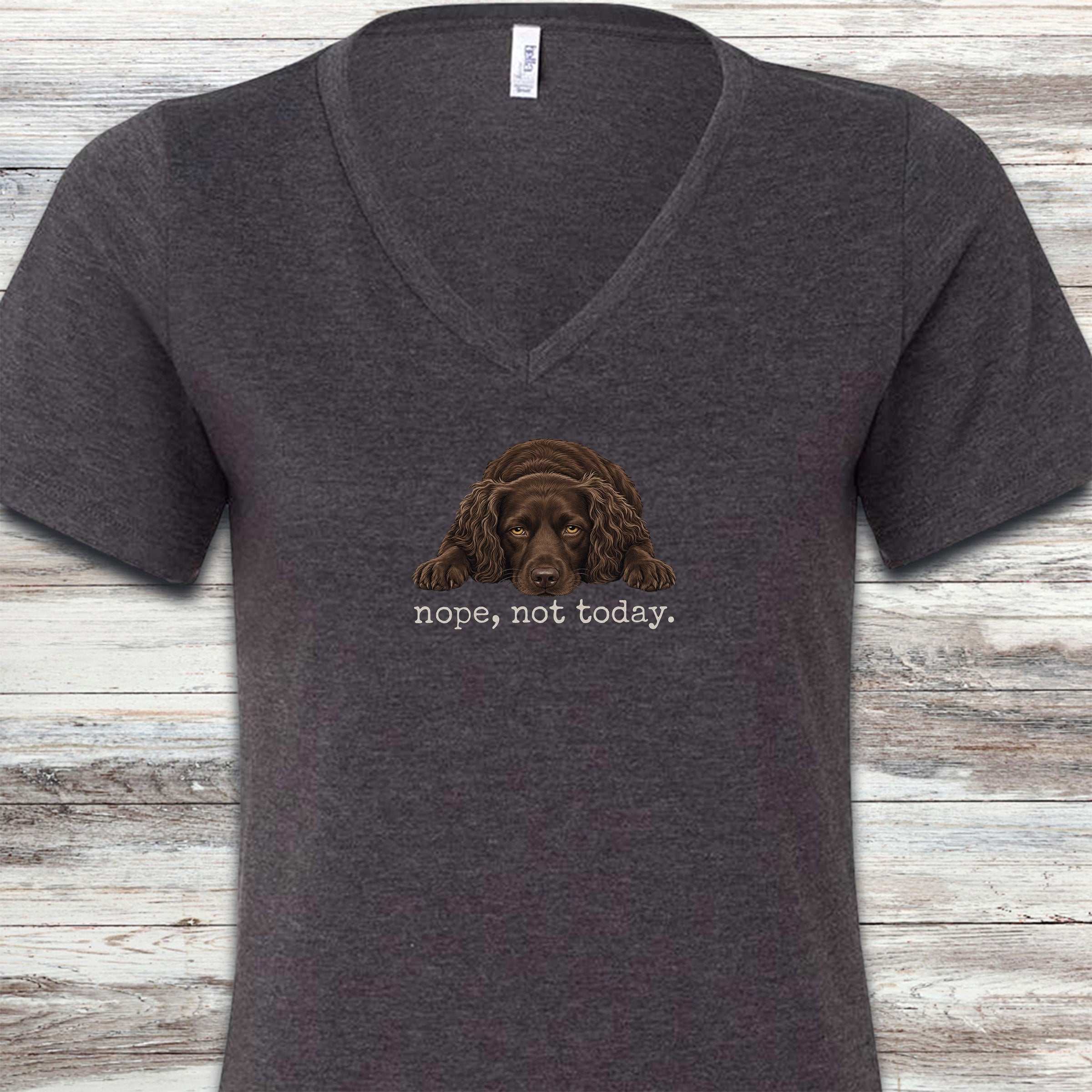 Boykin Spaniel Nope V-Neck Tee - Dark Grey Heather