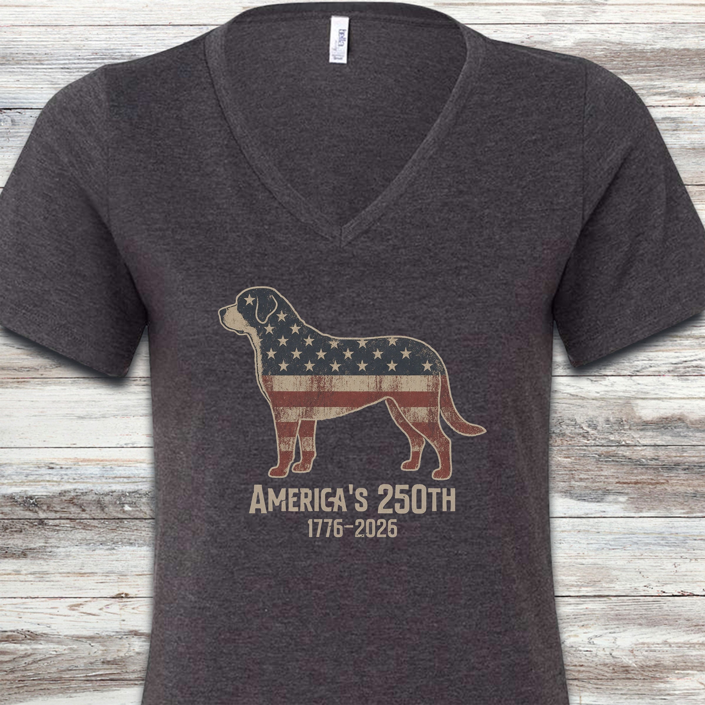 Swiss Mountain Dog 250 V-Neck Tee - Dark Grey Heather