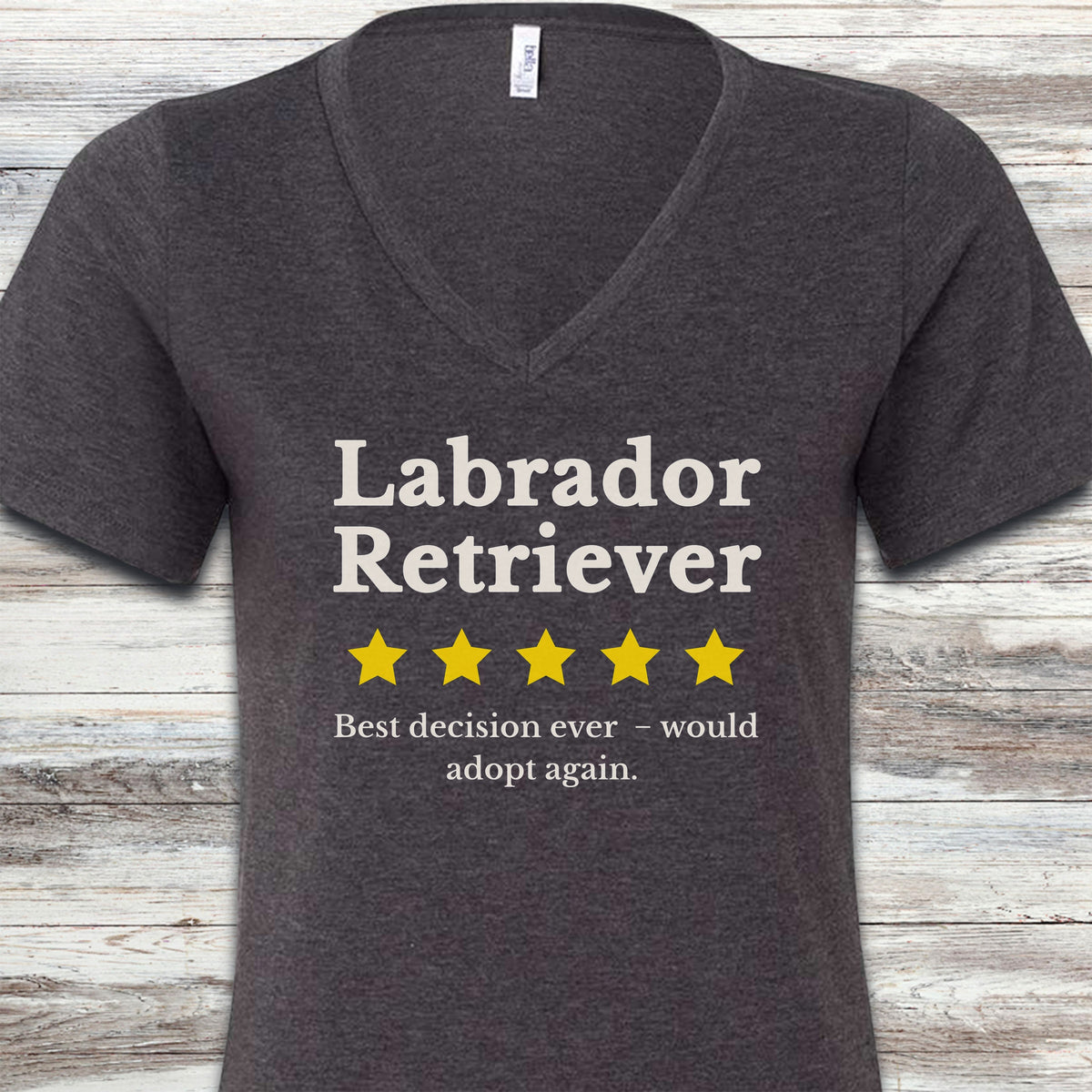 Labrador Retriever Review V-Neck Tee - Dark Grey Heather