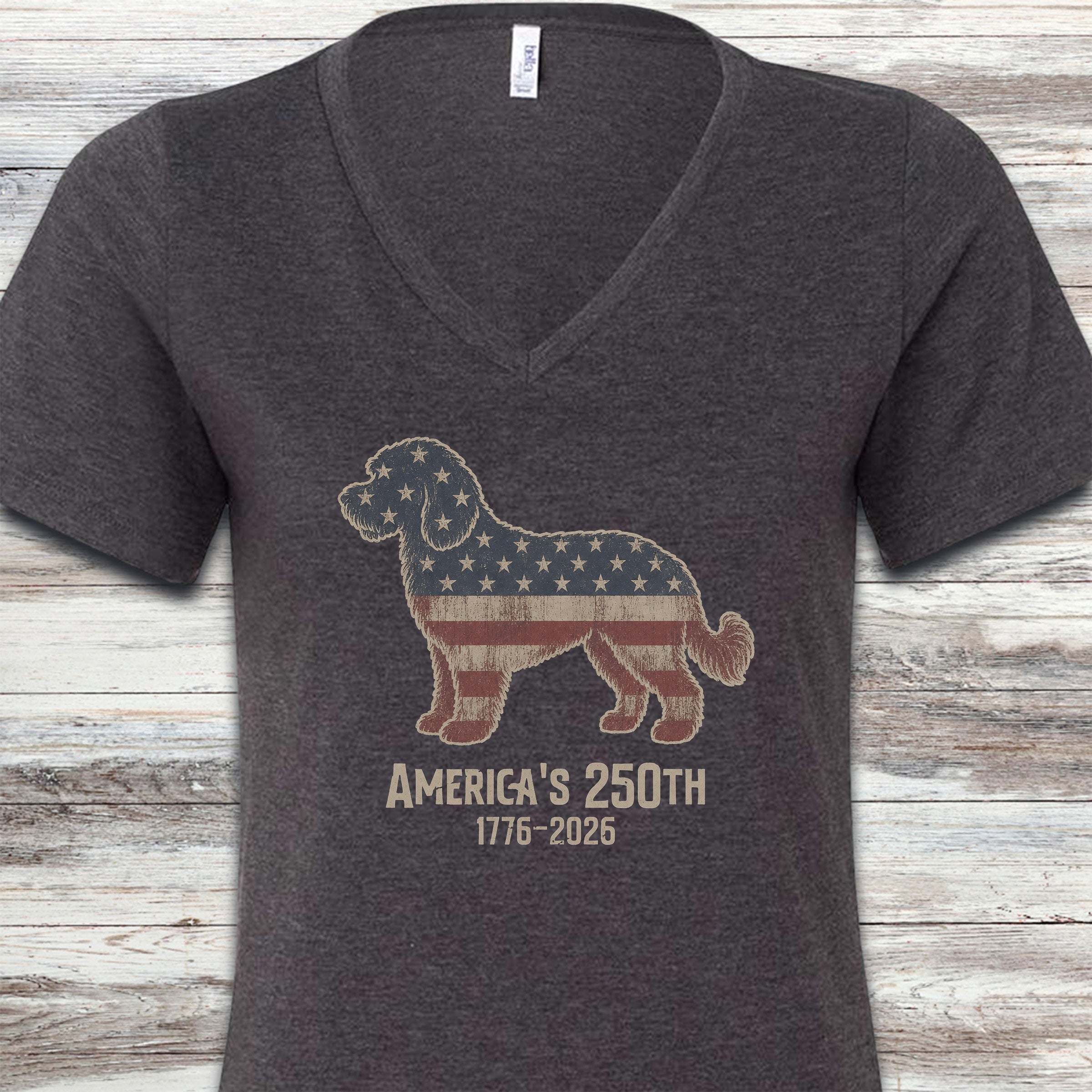 Labradoodle 250 V-Neck Tee - Dark Grey Heather