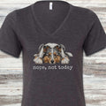 Shetland Sheepdog Blue Merle Nope V-Neck Tee - Dark Grey Heather