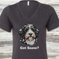 Bernedoodle Got Snow V-Neck Tee - Dark Grey Heather