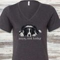 Border Collie Nope V-Neck Tee - Dark Grey Heather