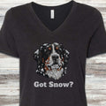 Bernese Mountain Dog Got Snow V-Neck Tee - Black Heather