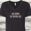 Boykin Spaniel Normal V-Neck Tee - Black Heather