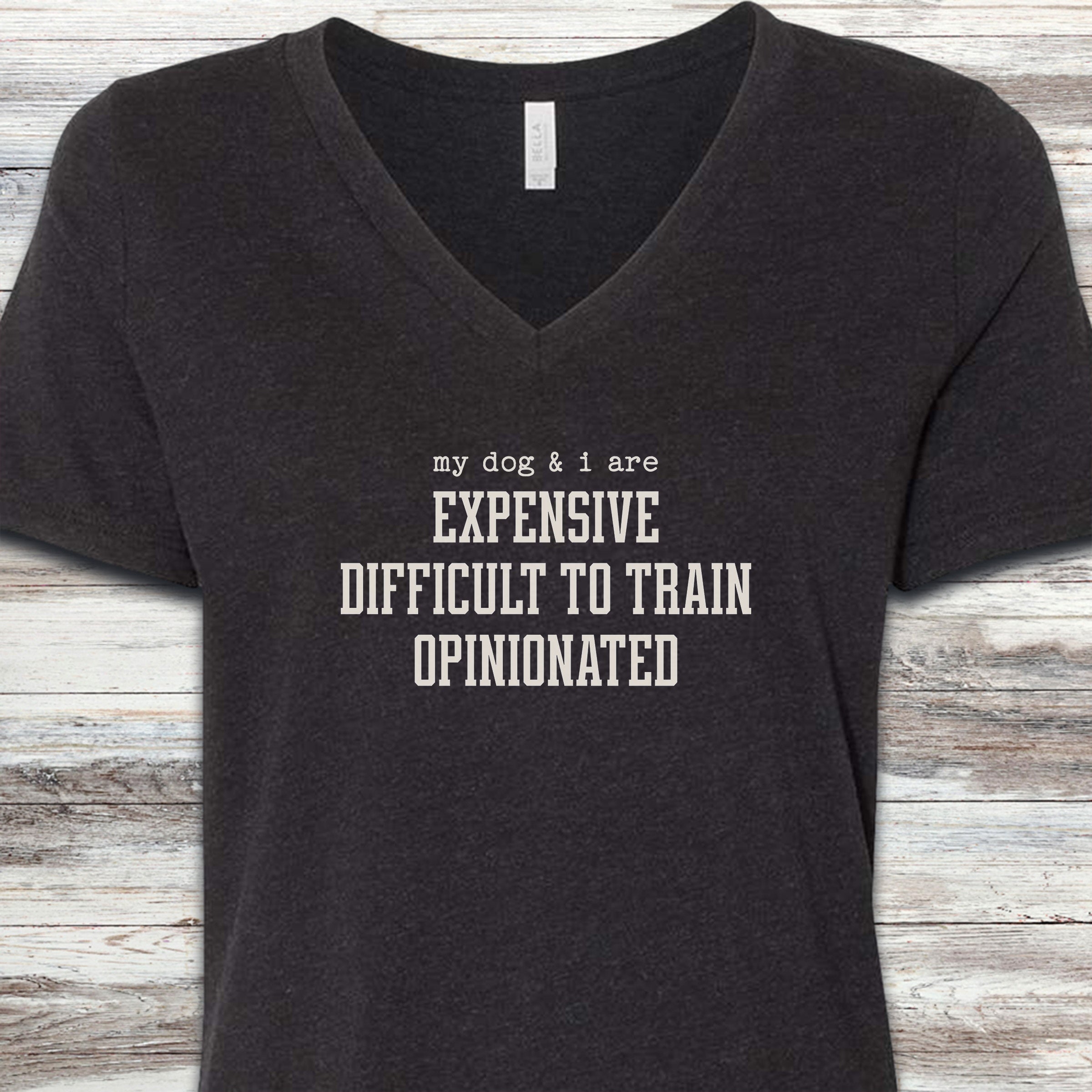 My Dog & I V-Neck Tee - Black Heather
