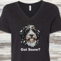 Bernedoodle Got Snow V-Neck Tee - Black Heather