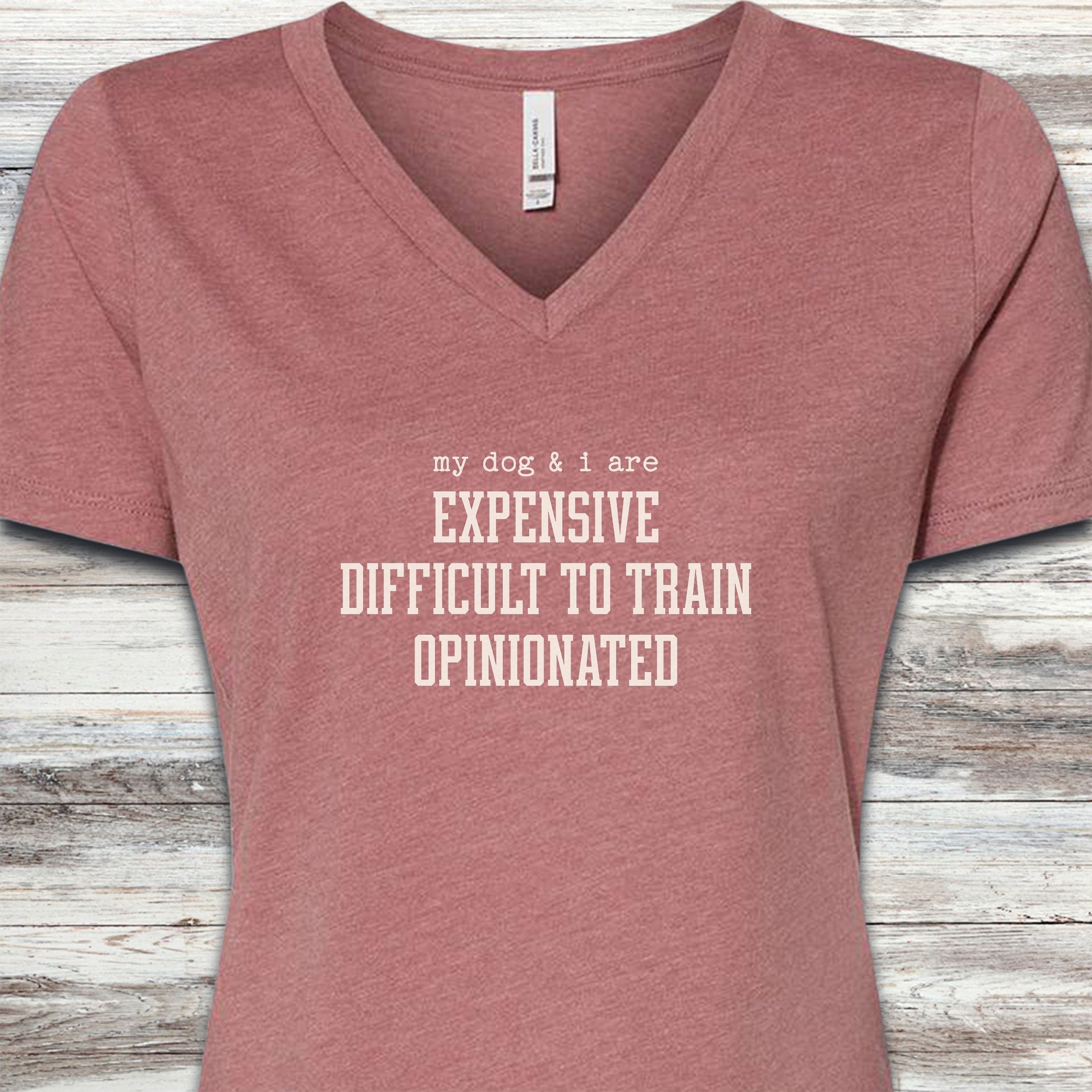 My Dog & I V-Neck Tee - Heather Mauve
