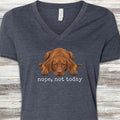 Vizsla Nope V-Neck Tee - Heather Navy