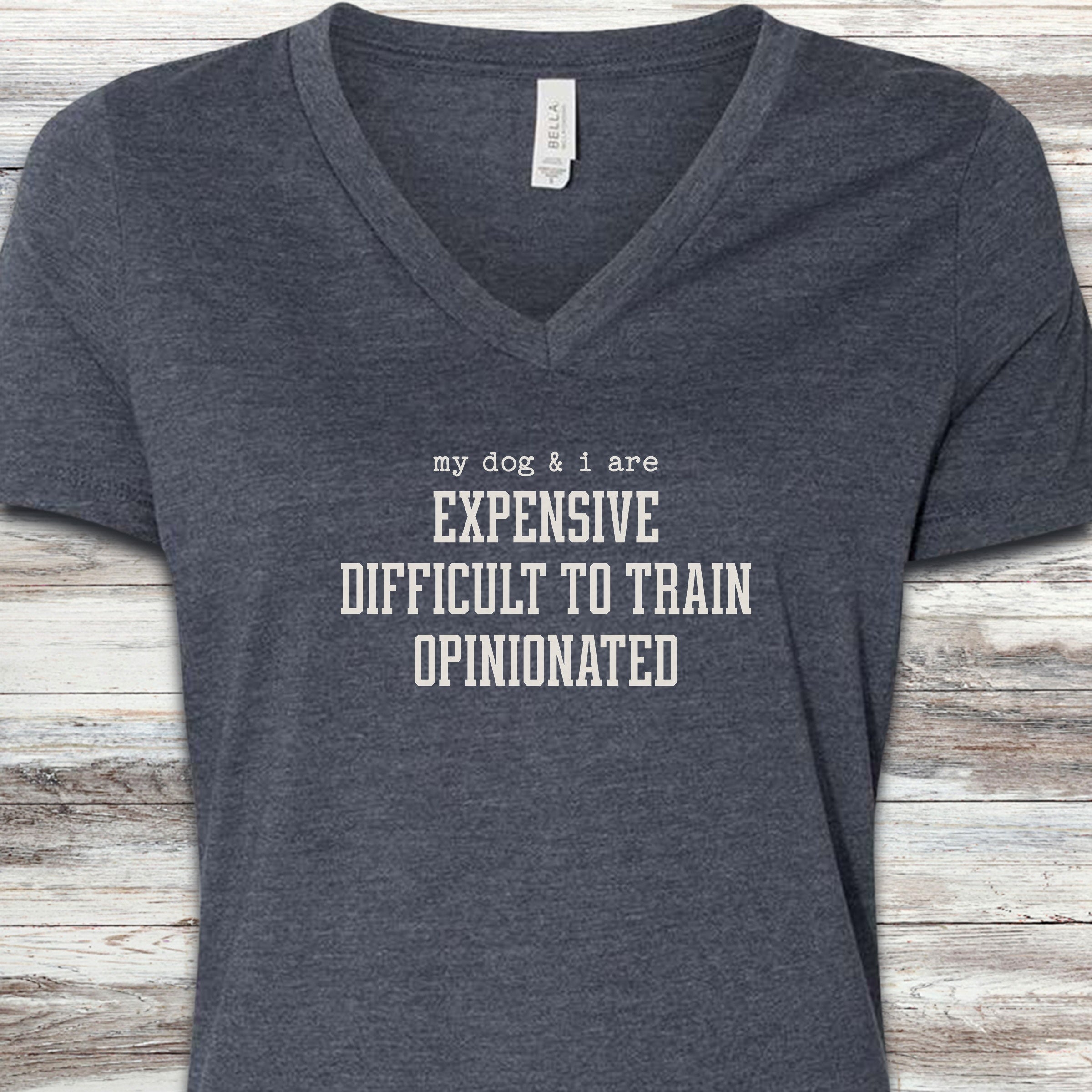 My Dog & I V-Neck Tee - Heather Navy
