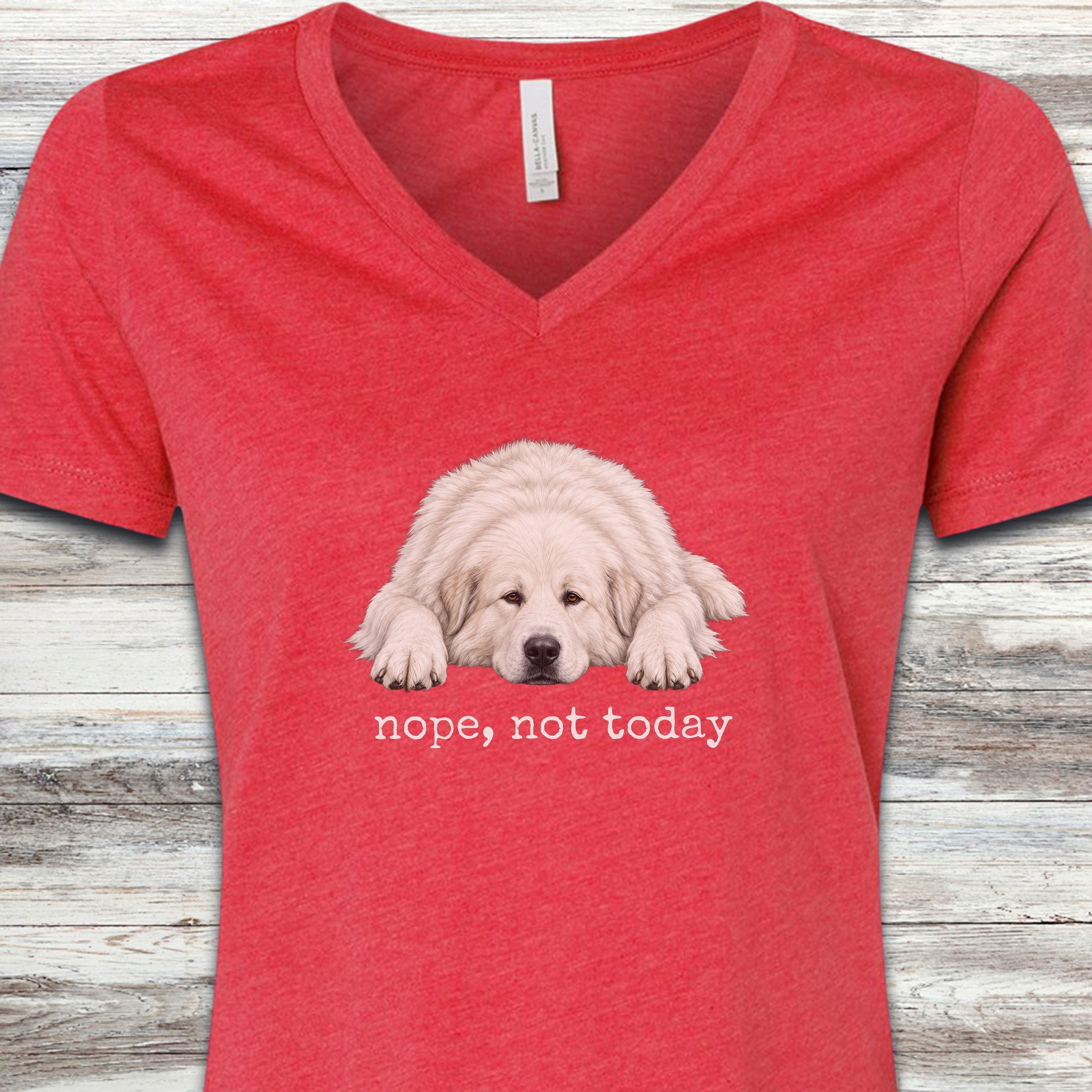 Great Pyrenees Nope V-Neck Tee - Heather Red