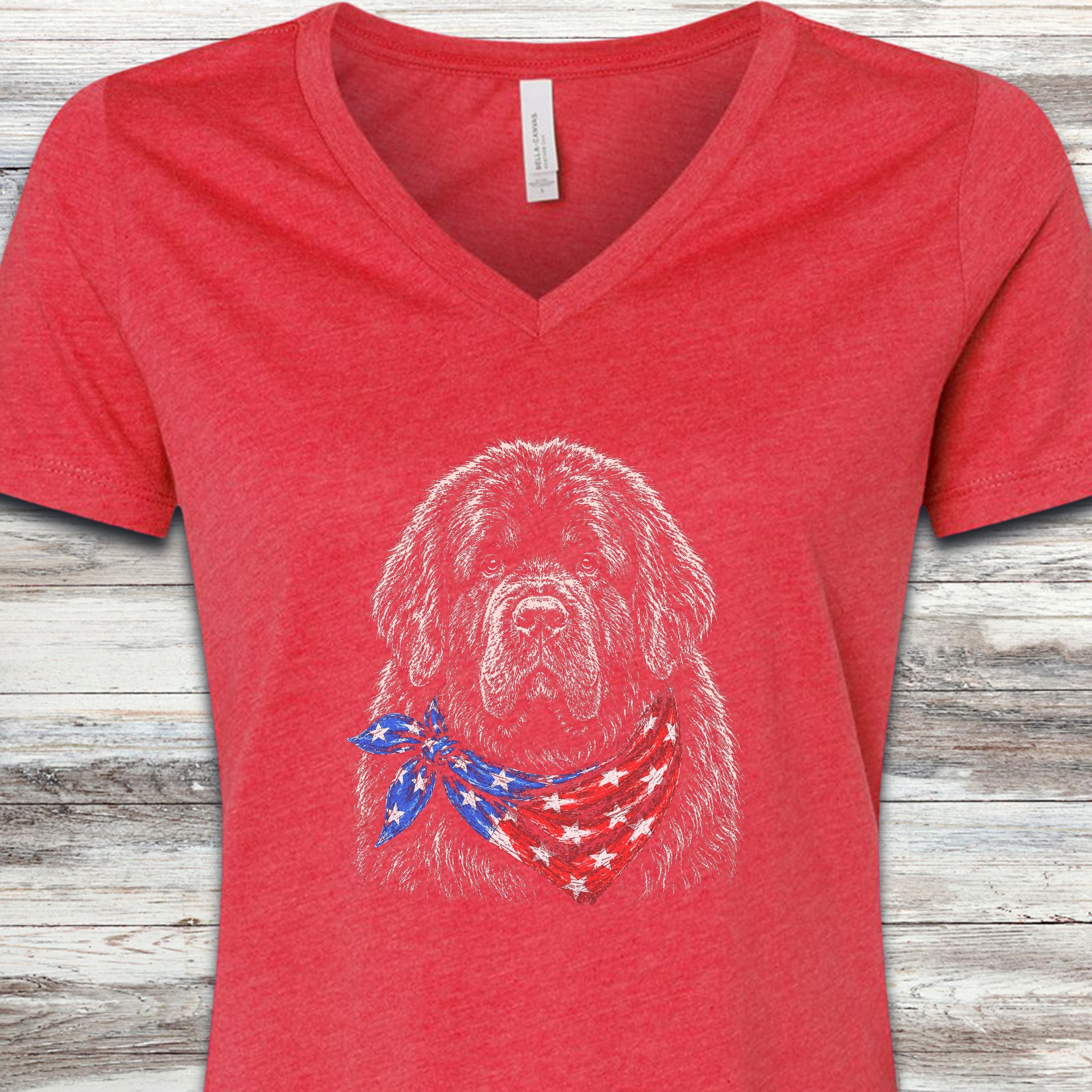 Newfoundland Patriot V-Neck Tee - Heather Red