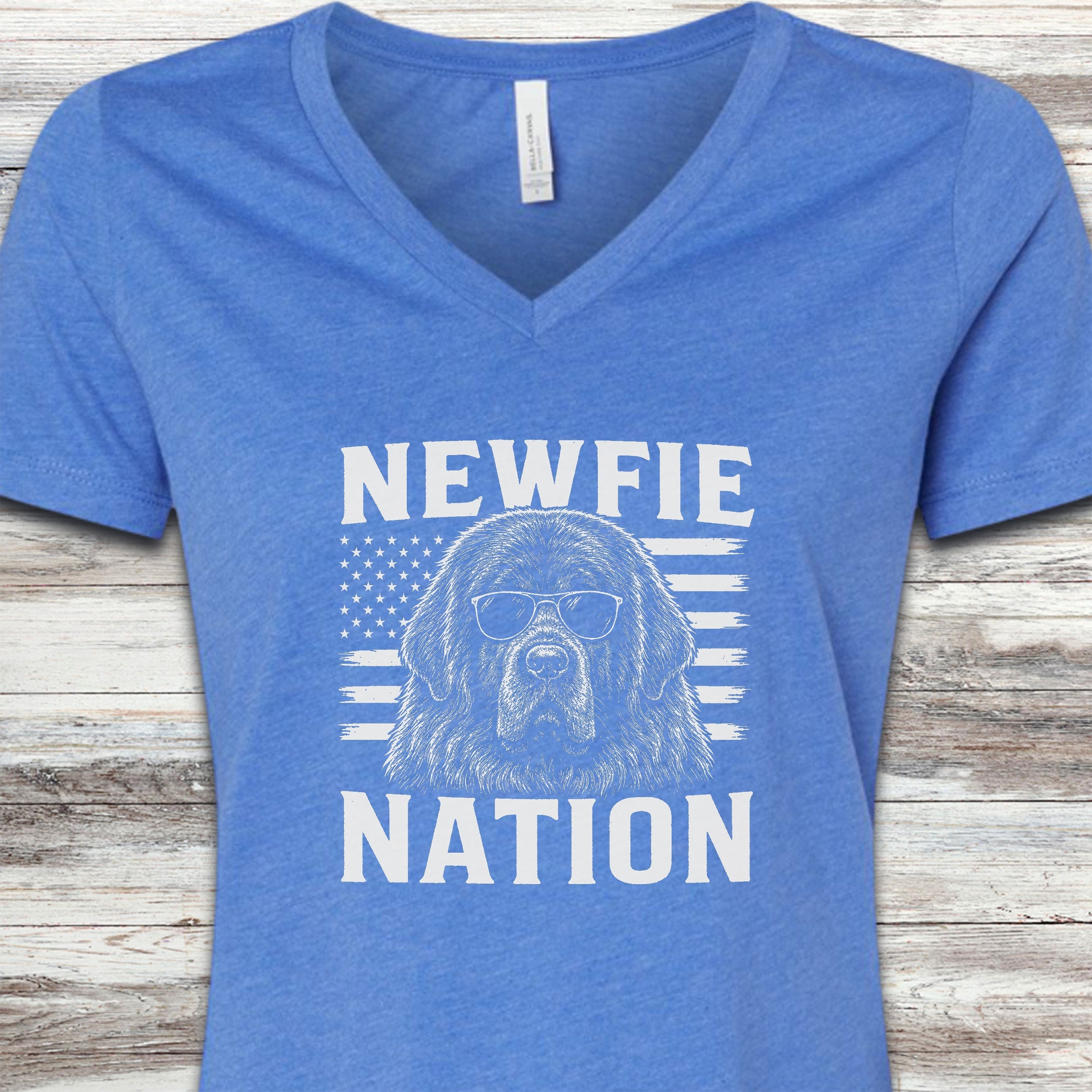 Newfoundland Nation V-Neck Tee - Heather True Royal