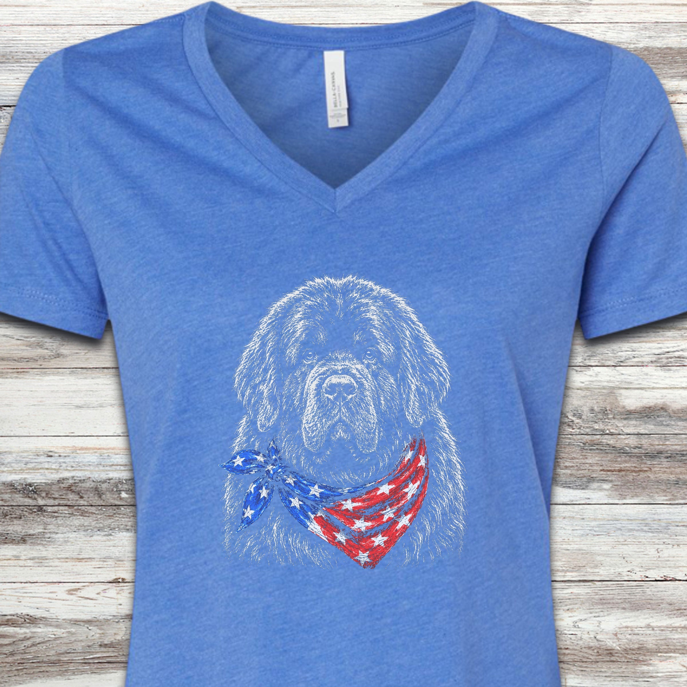 Newfoundland Patriot V-Neck Tee - Heather True Royal