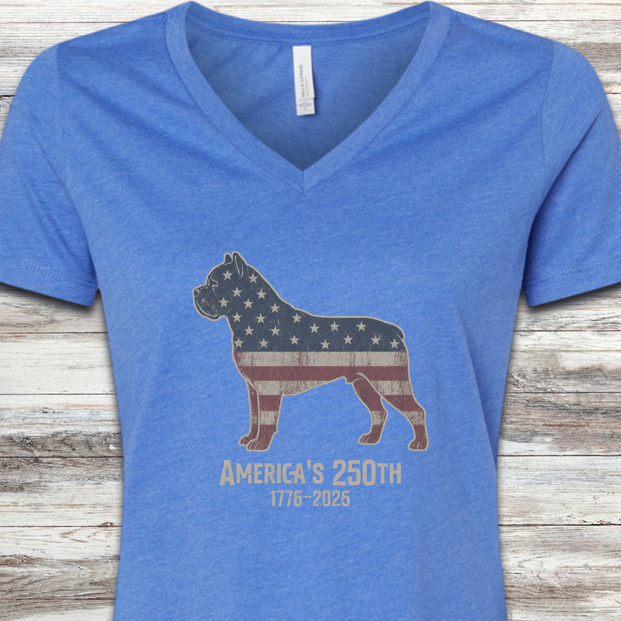 Cane Corso 250 V-Neck Tee - Heather True Royal