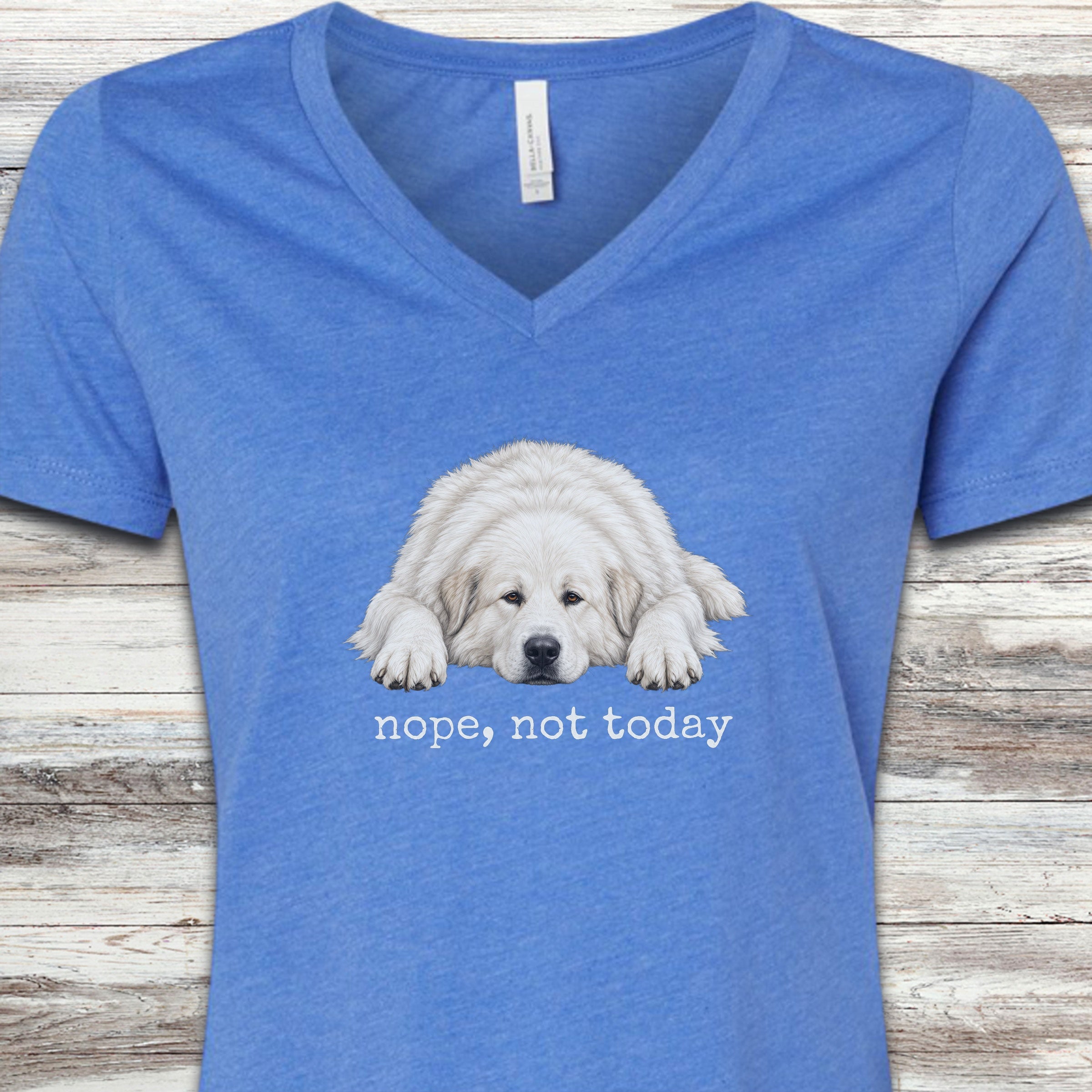 Great Pyrenees Nope V-Neck Tee - Heather True Royal