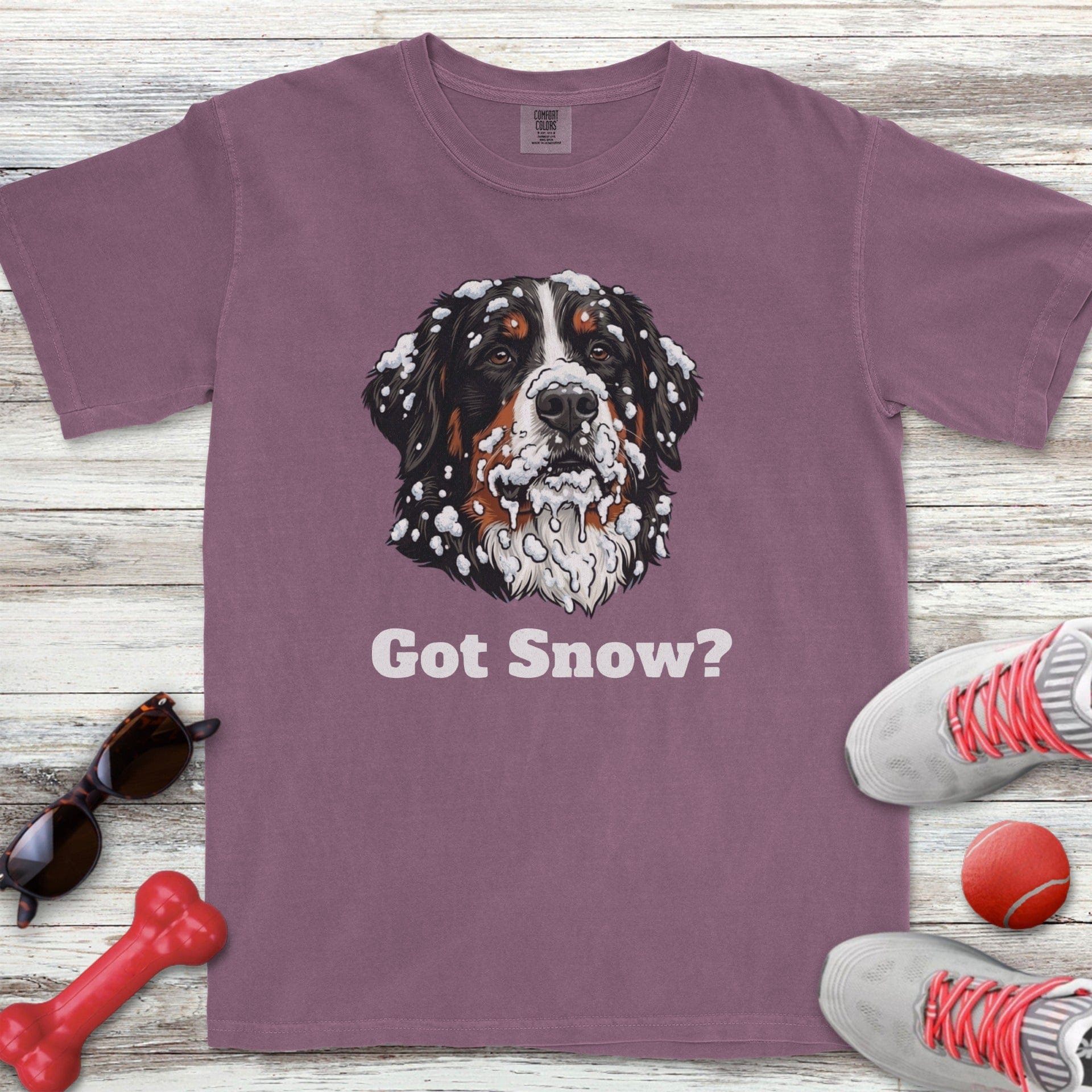 Bernese Mountain Dog Got Snow T-Shirt