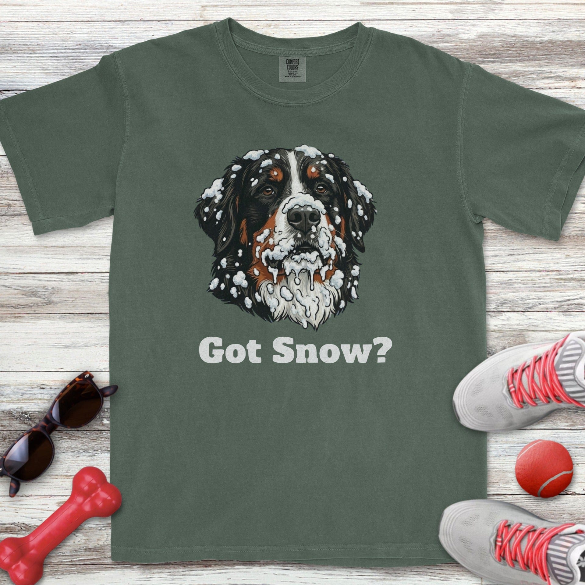 Bernese Mountain Dog Got Snow T-Shirt