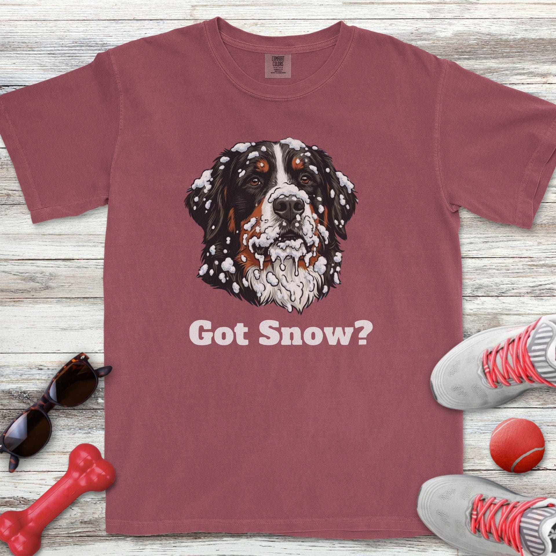 Bernese Mountain Dog Got Snow T-Shirt