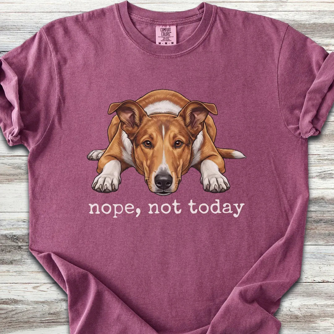Smooth Collie Nope T-Shirt