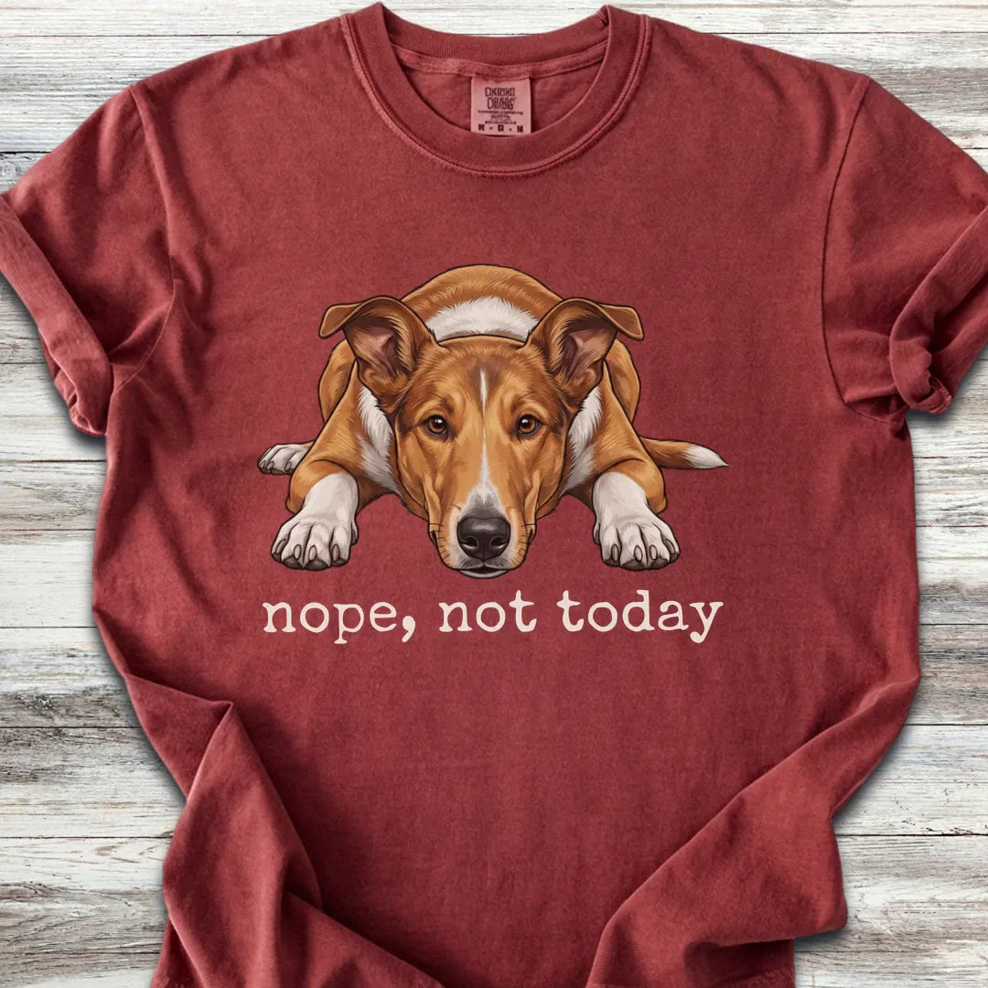 Smooth Collie Nope T-Shirt